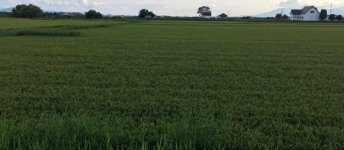 ツムラ企業レポート:夕張ツムラ