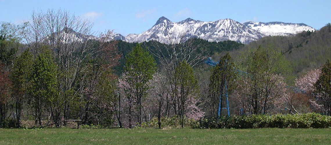 ツムラ企業レポート:夕張ツムラ