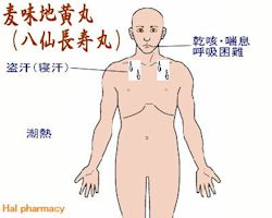 麦味地黄丸(八仙長寿丸)