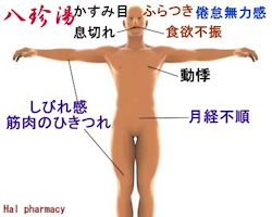 八珍湯(四君子湯+四物湯)