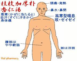 桂枝加厚朴杏仁湯(桂枝加厚朴杏子湯)