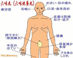 六味丸(六味地黄丸)