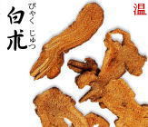 白朮