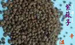 紫蘇子
